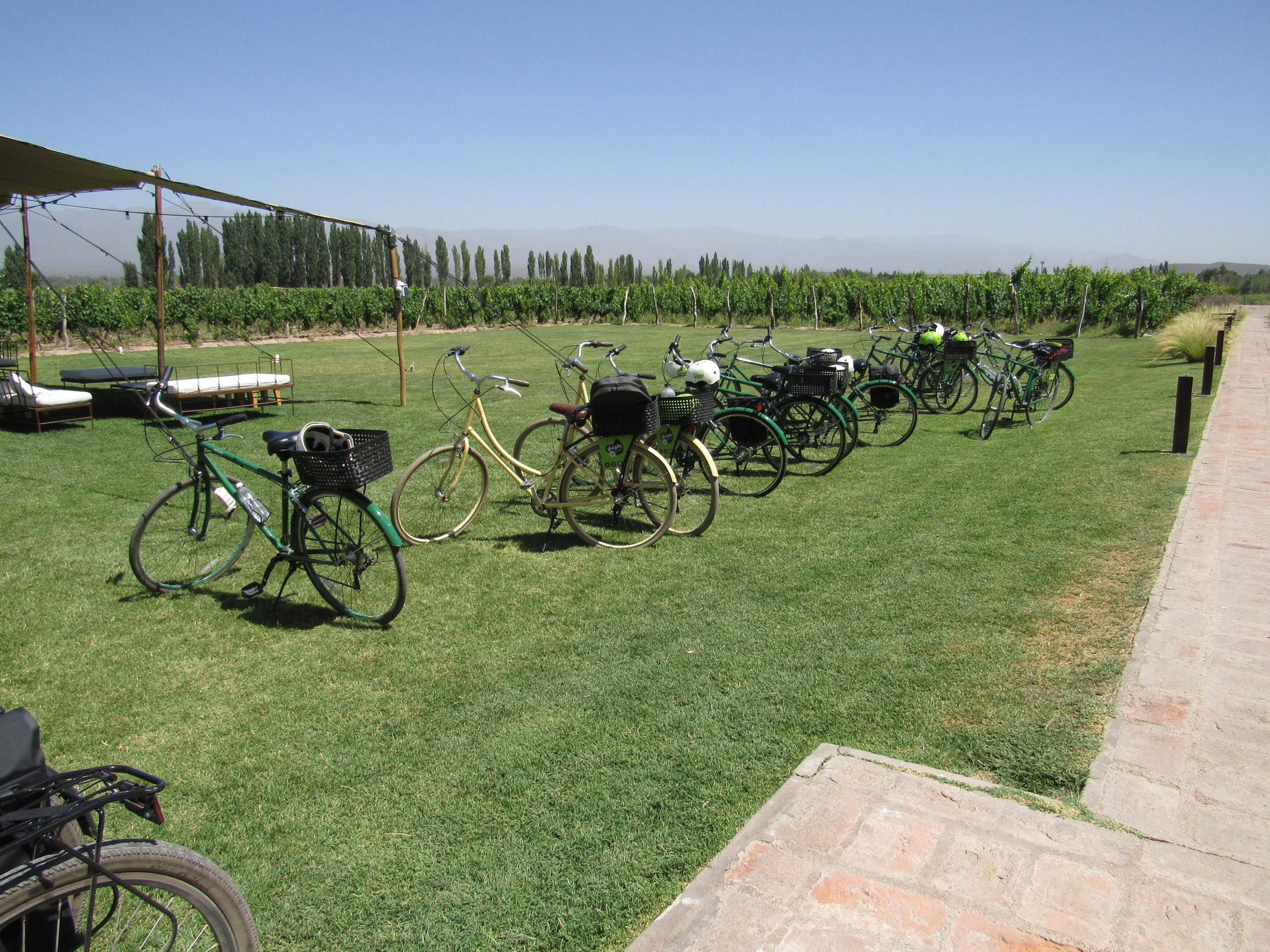 Bicis y naturaleza
