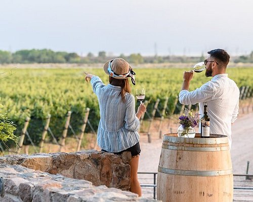 Tours de bodega